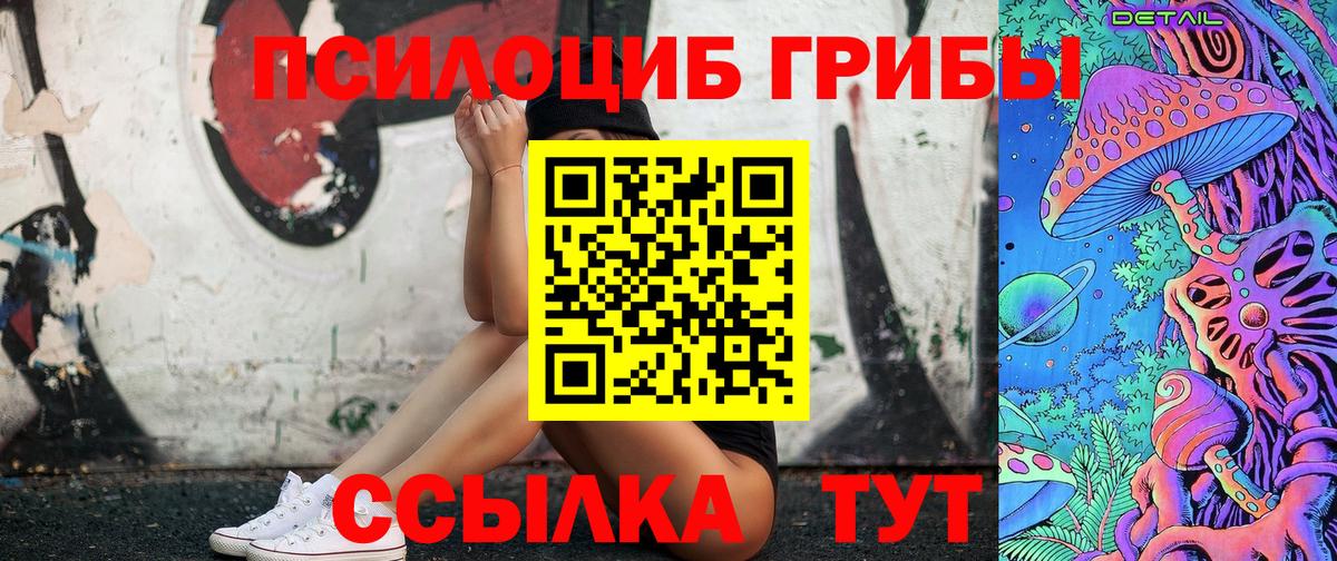 Псилоцибиновые грибы Cubensis  Вход с VPN  Домодедово 