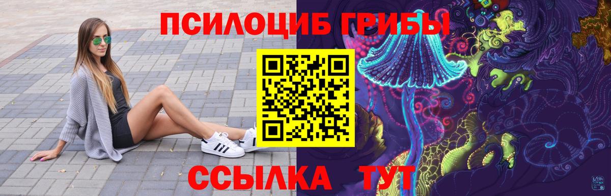 Псилоцибиновые грибы мицелий Домодедово